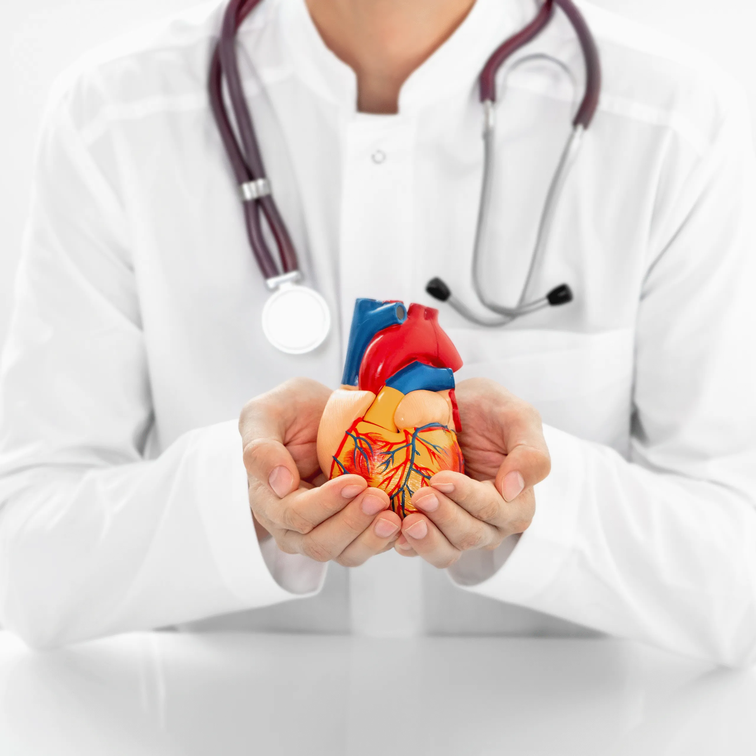 envato labs image edit 47 scaled 1