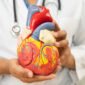 Heart Health for Professionals Must Have Tips for Stress Free Heart Wellness in Hyderabad 85x85