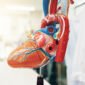 High Risk Heart Symptoms Must Have Tips for Affordable Emergency Cardiac Care 85x85